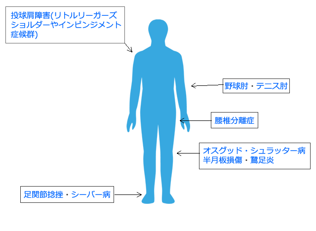 おもなスポーツ外傷